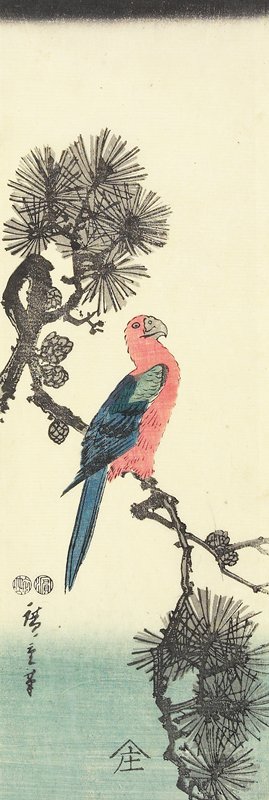 歌川広重: (Parrot on Pine Tree) - ミネアポリス美術館