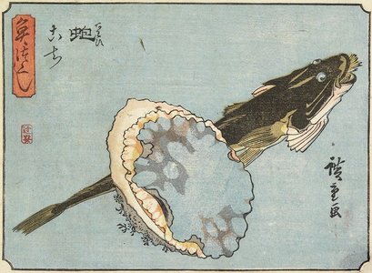 Utagawa Hiroshige: Abalone and Flathead - Minneapolis Institute of Arts 