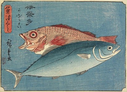 Utagawa Hiroshige: Yellowtail and Rockfish - Minneapolis Institute of Arts 