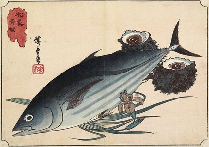 Utagawa Hiroshige: Bonito and Top Shells - Minneapolis Institute of Arts 