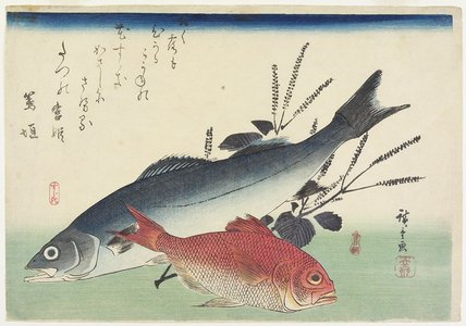 歌川広重: Red Snapper, Sea Bass and Perilla - ミネアポリス美術館