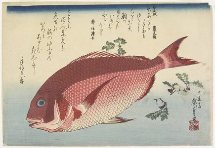 Utagawa Hiroshige: Sea Bream and SanshoSprigs - Minneapolis Institute of Arts 