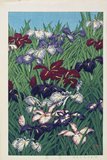川瀬巴水: Irises - ミネアポリス美術館