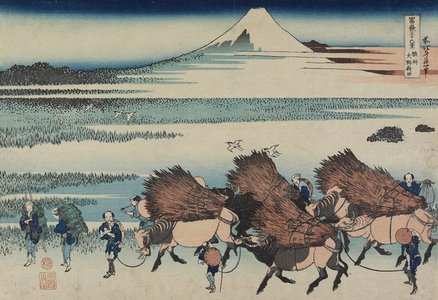 Katsushika Hokusai: The Paddies of Ono in Suruga Province - Minneapolis Institute of Arts 