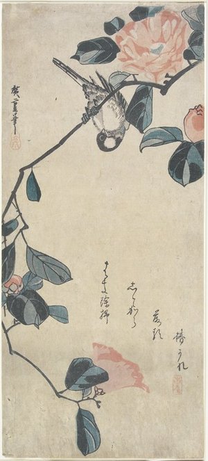 Utagawa Hiroshige: (Bird on Camellia) - Minneapolis Institute of Arts 
