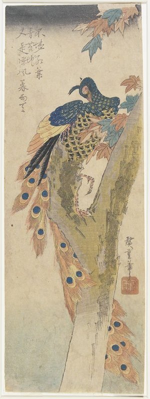 歌川広重: (Peacock on Maple Tree) - ミネアポリス美術館