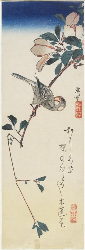 歌川広重: Java Sparrow and Magnolia - ミネアポリス美術館