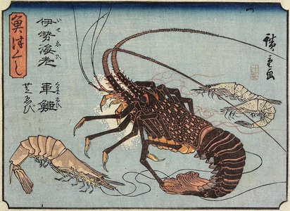 歌川広重: Lobster, Prawn and Shrimps - ミネアポリス美術館