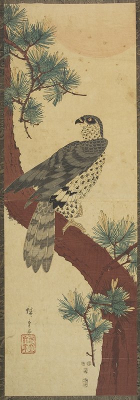 Utagawa Hiroshige: (Hawk on Pine Branch, Summer) - Minneapolis Institute of Arts 