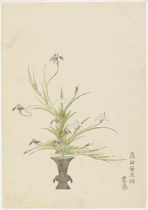 Unknown: Flower Arrangement by Takada Anritsubo Untai; Irises - Minneapolis Institute of Arts 
