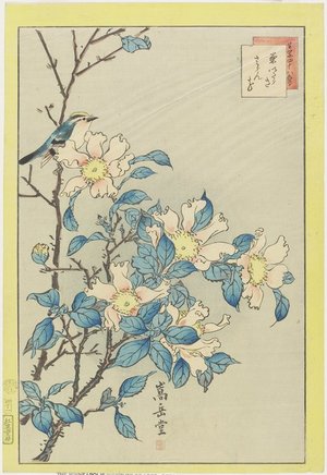 Nakayama Su_gakudo_: Blue Bird and Pink Flowers - Minneapolis Institute of Arts 