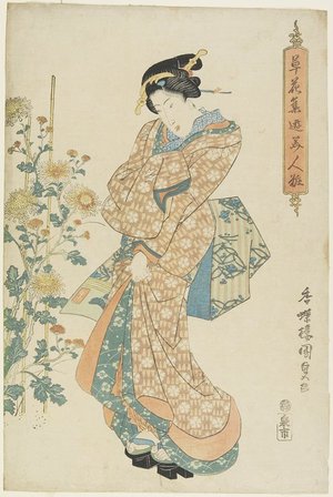 Utagawa Kunisada: Chrysanthemums - Minneapolis Institute of Arts 