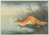 Shoson Ohara: Fox by the Moonlit Water - ミネアポリス美術館
