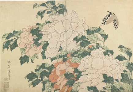 Katsushika Hokusai: Peonies and Butterfly - Minneapolis Institute of Arts 