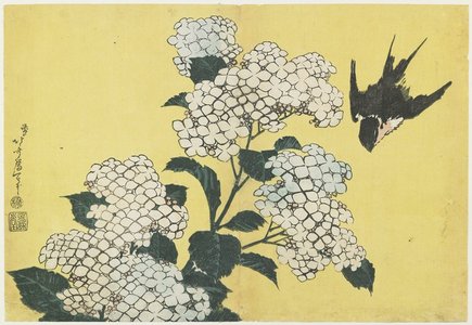 葛飾北斎: Hydrangea and Swallow - ミネアポリス美術館