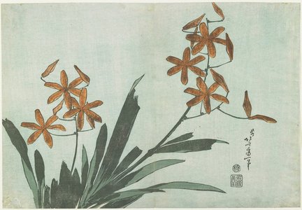 Katsushika Hokusai: Blackberry Lilies - Minneapolis Institute of Arts 