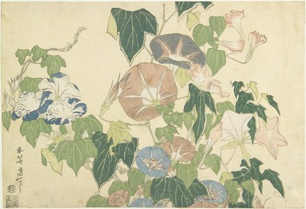 葛飾北斎: Frog and Morning Glories - ミネアポリス美術館