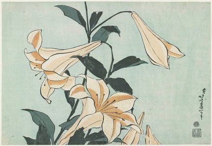 葛飾北斎: Lilies - ミネアポリス美術館