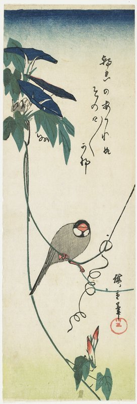 歌川広重: Java Sparrow and Morning Glories - ミネアポリス美術館