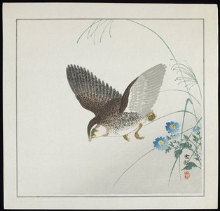 Shoson Ohara: Quail in Flight - ミネアポリス美術館