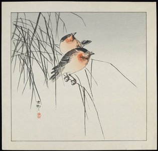 Shoson Ohara: Two Birds on Reeds - Minneapolis Institute of Arts 