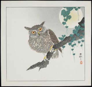 Shoson Ohara: Owl - ミネアポリス美術館