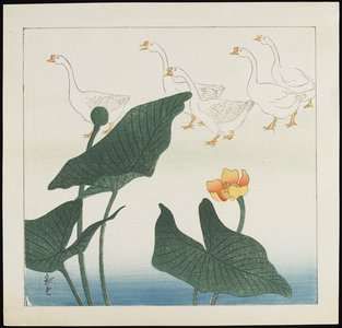 Kawaguchi: White Ducks - Minneapolis Institute of Arts 