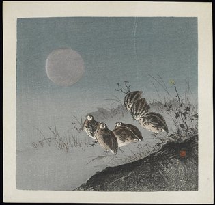 Kawaguchi: Partridges in Field - Minneapolis Institute of Arts 