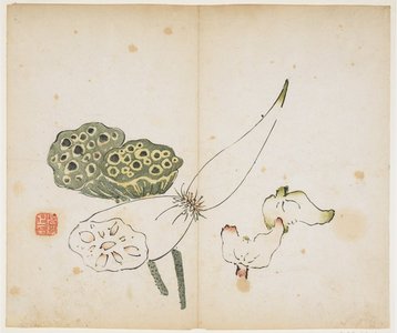 Ryoshin: Lotus Roots - ミネアポリス美術館