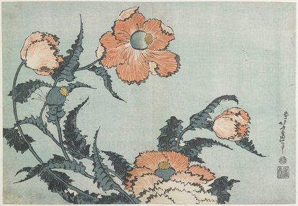 Katsushika Hokusai: Poppies - Minneapolis Institute of Arts 