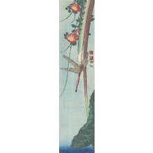 Ju_yu_en Bun'yo_: (Dragonfly and Flowers) - ミネアポリス美術館