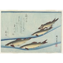 歌川広重: (River Trouts in Stream) - ミネアポリス美術館