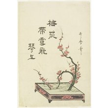 Kitagawa Utamaro, 喜多川歌麿 (Kitagawa Utamaro)による浮世絵「(Plum Flower Arrangement)」