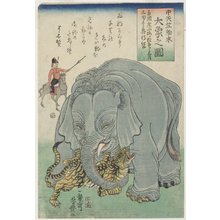 歌川芳豊: Elephant From India With Tiger - ミネアポリス美術館