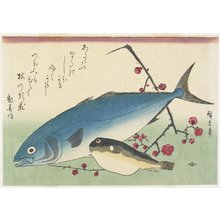 歌川広重: Bonito, Globefish and a Spray of Blossoming Plum - ミネアポリス美術館