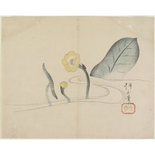 Yamada Ho_gyoku: (Lotus and a Gold Bug) - ミネアポリス美術館