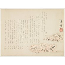 Shunsui: (Cherry blossoms) - Minneapolis Institute of Arts 