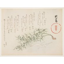 Chinko_sai: (Small white fish and water-weed) - ミネアポリス美術館