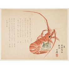 Ko_ei: (Lobster and common hepatica) - Minneapolis Institute of Arts 