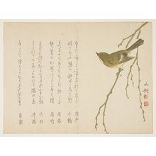 Bunki: (Nightingale on a willow branch) - Minneapolis Institute of Arts 