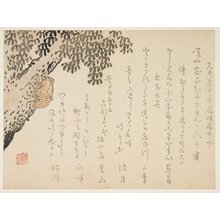 Kangyoku: Shell of a cicada - Minneapolis Institute of Arts 