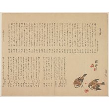 横山崋山: (Sparrows and plum flowers) - ミネアポリス美術館