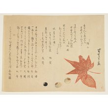 Ko_ Su_koku II: (Autumn leaves and nuts) - Minneapolis Institute of Arts 