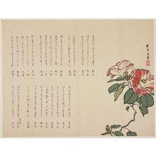 Hyakujo_: (Flowing camellia) - Minneapolis Institute of Arts 