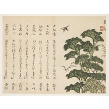 Murata Kagen: (Big tree and birds) - ミネアポリス美術館