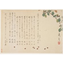 Murata Kagen: (Oak branch and acorns) - Minneapolis Institute of Arts 