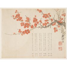 nishiki) Kinko_: Full Moon and Plum Blossoms - ミネアポリス美術館