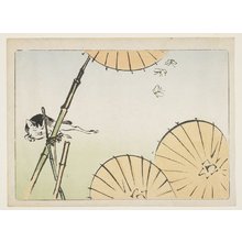 柴田是眞: (Bamboo, umbrellas, a cat and butterflies) - ミネアポリス美術館