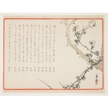 Yabu Cho_sui: (Plum blossoms) - ミネアポリス美術館