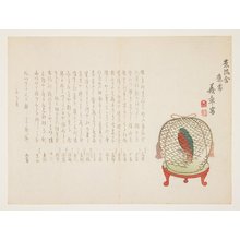 Mori Gisho_: (Parrot in a cage) - Minneapolis Institute of Arts 